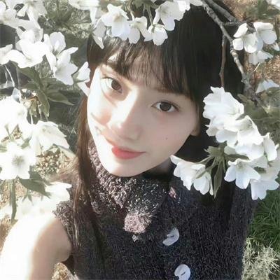 向阳花开并蒂霜